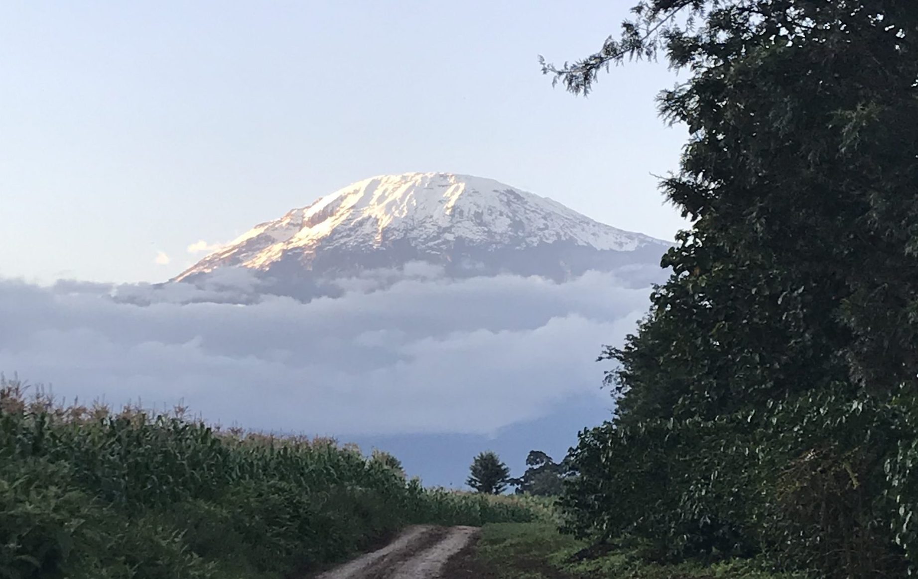 Turning point Kilimanjaro